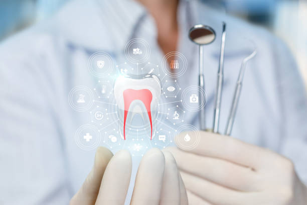 Best Cosmetic Dentistry  in , ME